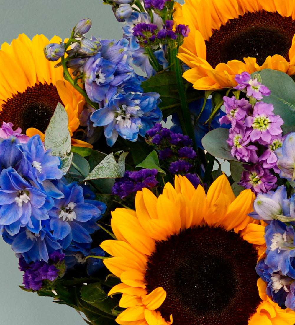 Sunflower Dreams